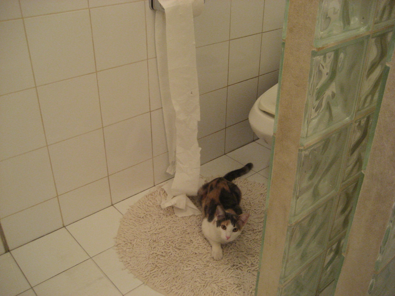 开云体育在线-雄鹿制霸国王，德甲争冠战焦点战的战术启示