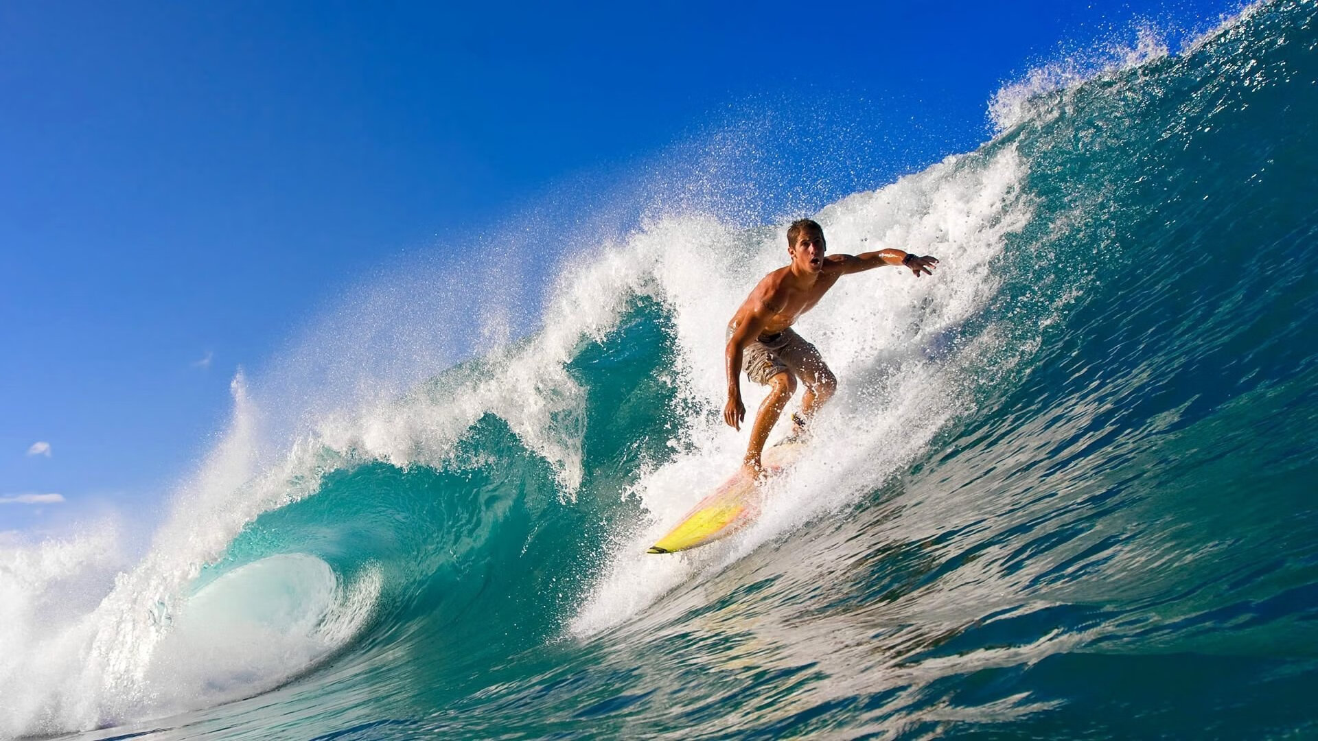 开云世界杯2026-当狼群遇上猛虎，约基奇如何成为中美篮球对话的意外焦点